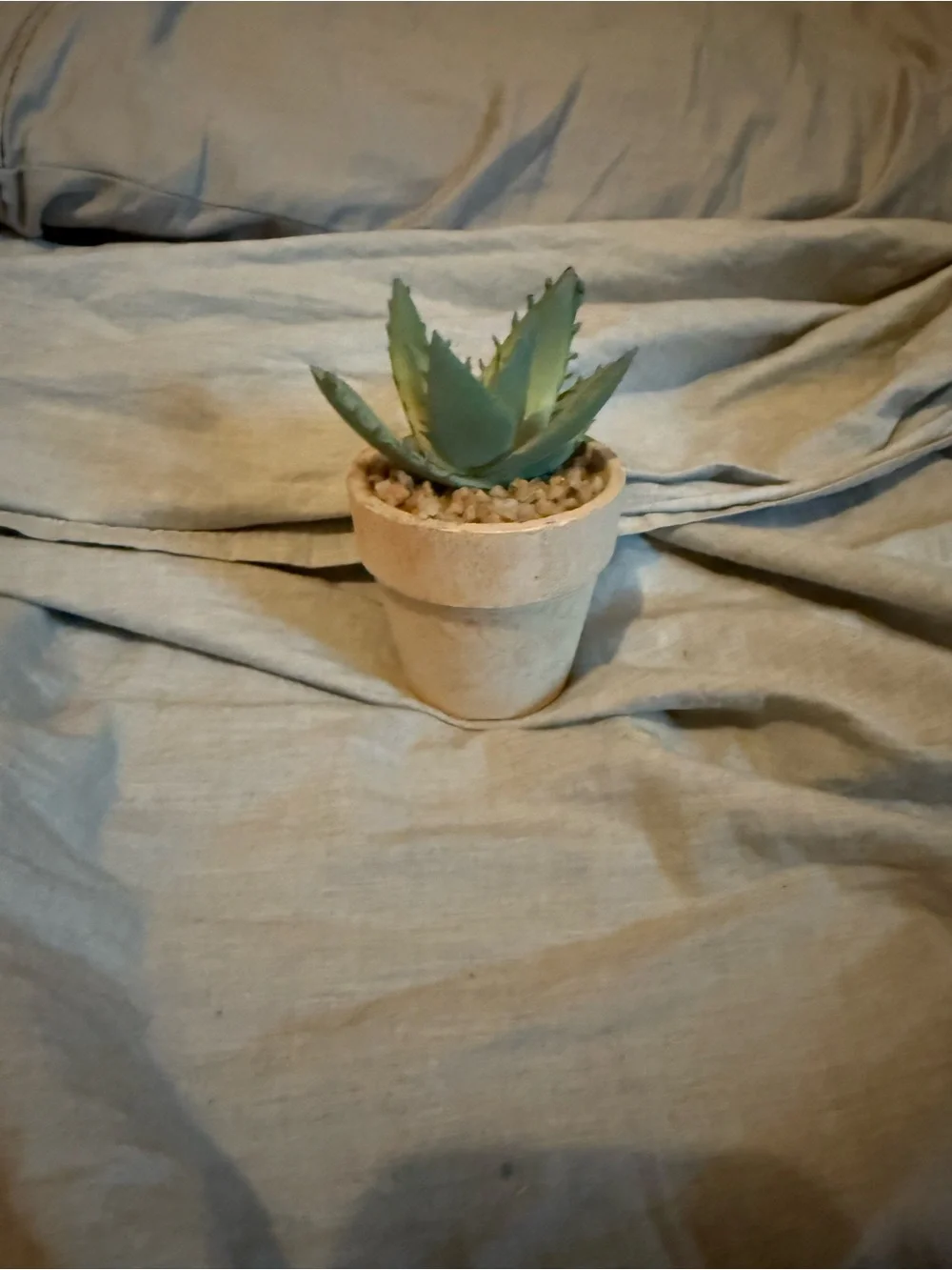 Target Green Faux Succulent in Cream Pot